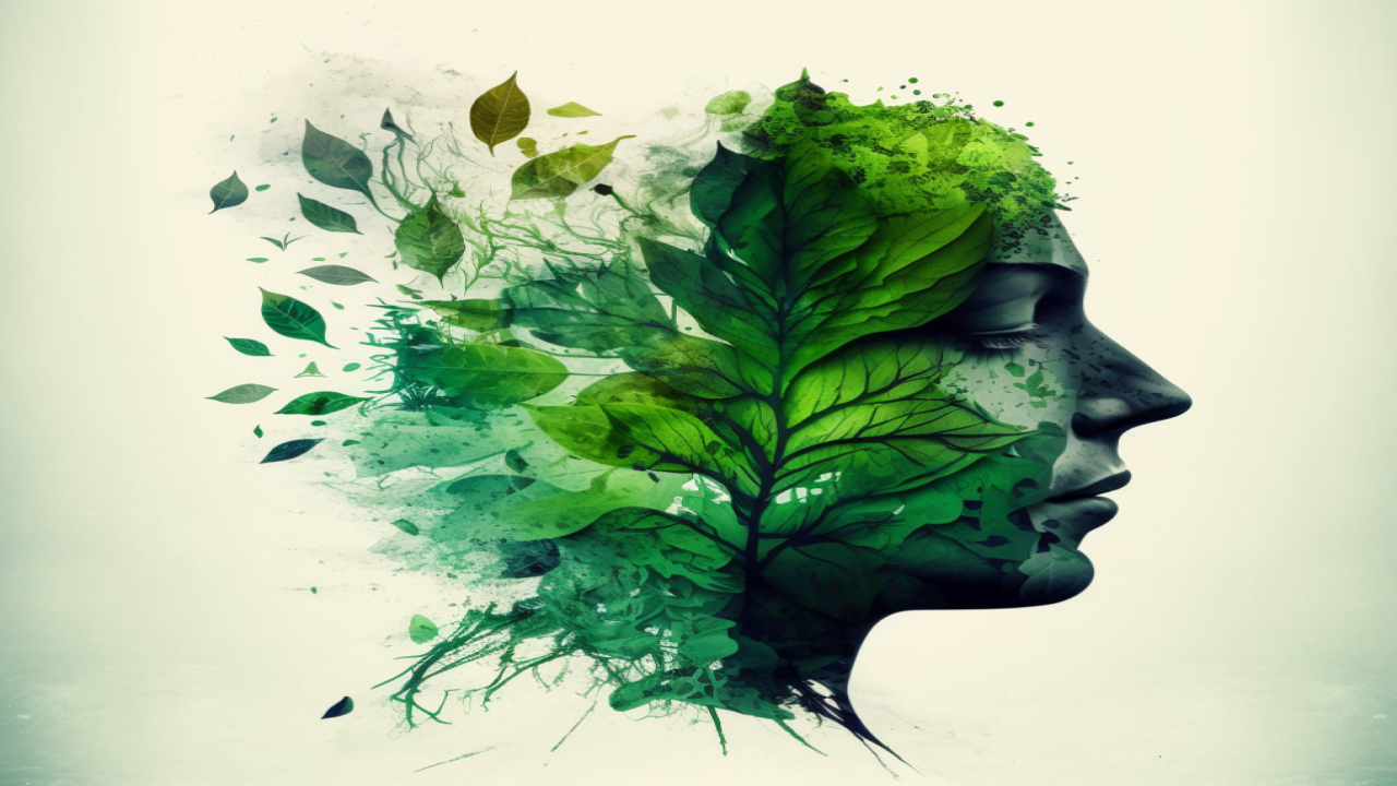 Art and Mental Well-Being: How Creativity Supports Emotional Health